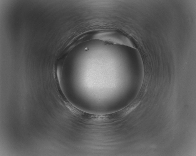 X0000070210288200606021303