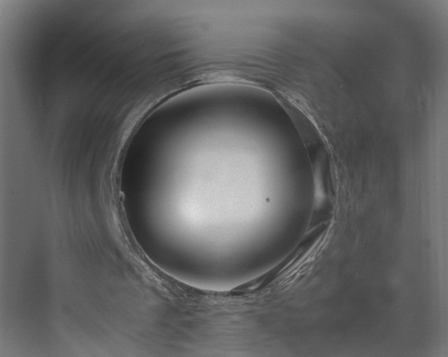 X0000070210289200606021302