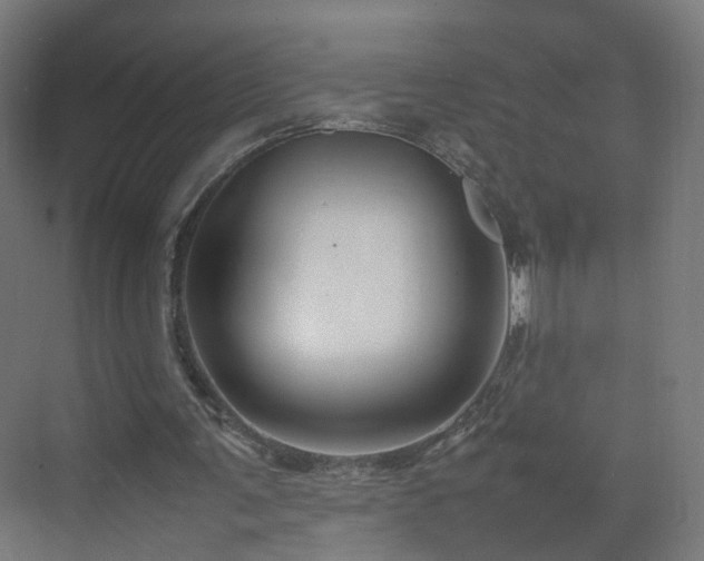 X0000070210291200606021302