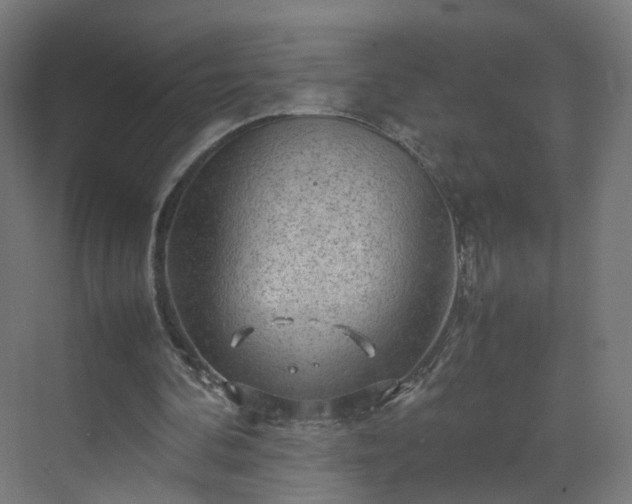 X0000070210292200606021302