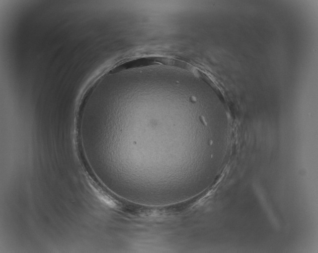 X0000070210293200606021302