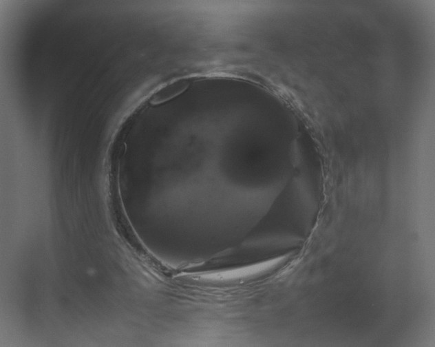 X0000070210295200606021302