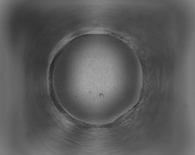 X0000070210296200606021302