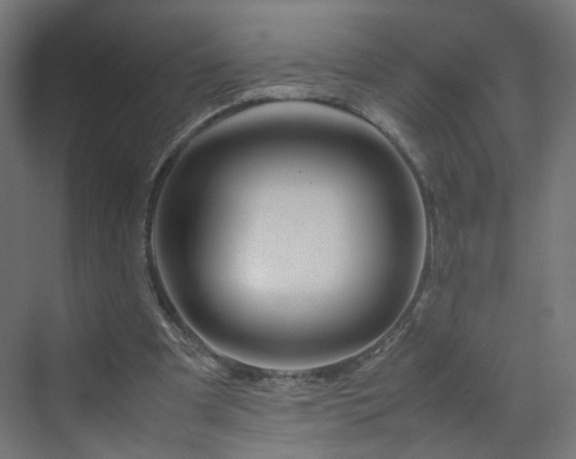 X0000070210297200606021302