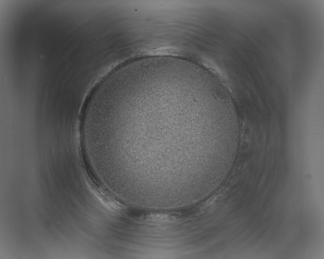 X0000070210298200606021302