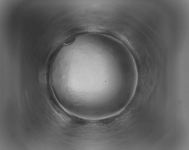 X0000070210299200606021302