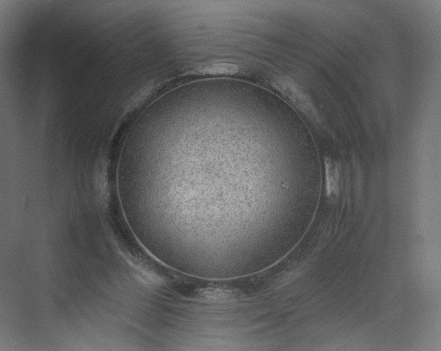 X0000070210300200606021302