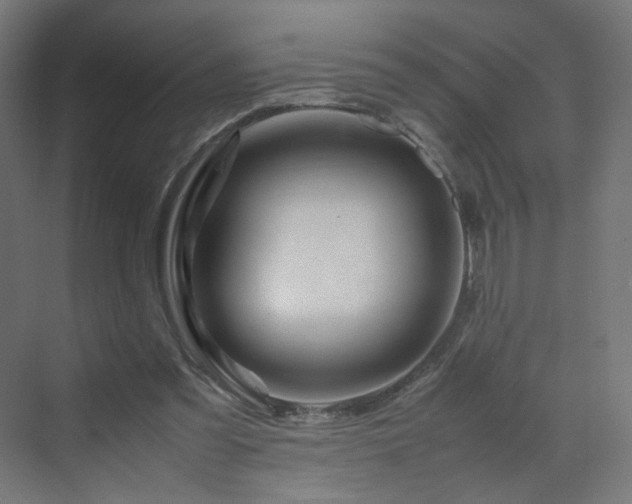 X0000070210301200606021302