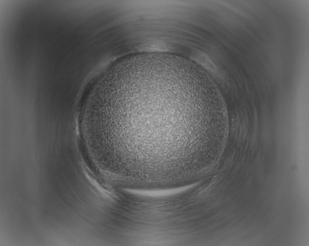 X0000070210302200606021302