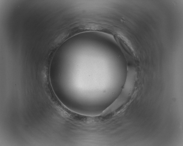 X0000070210305200606021302