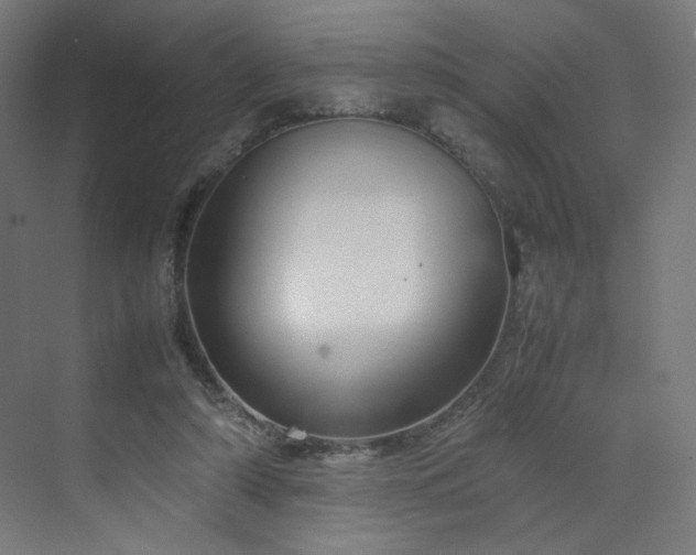 X0000070210306200606021302