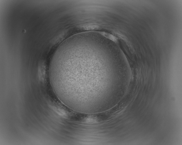 X0000070210308200606021302