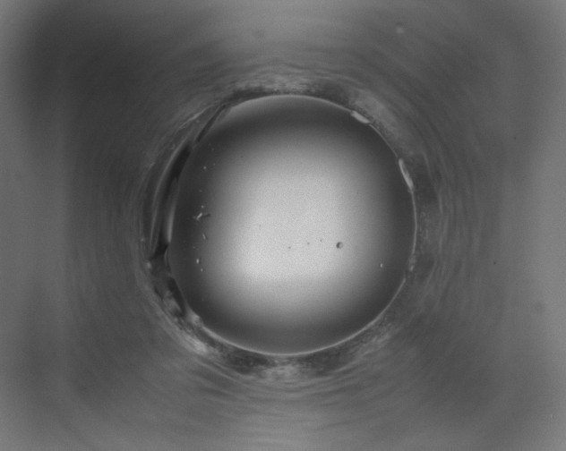 X0000070210309200606021302