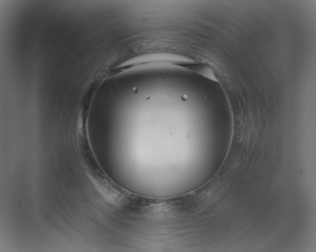 X0000070210310200606021302