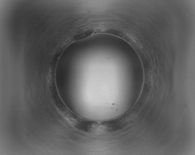 X0000070210311200606021302