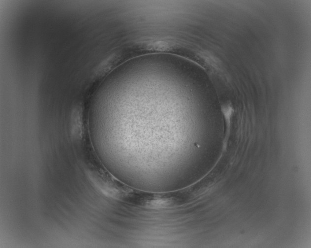 X0000070210312200606021302