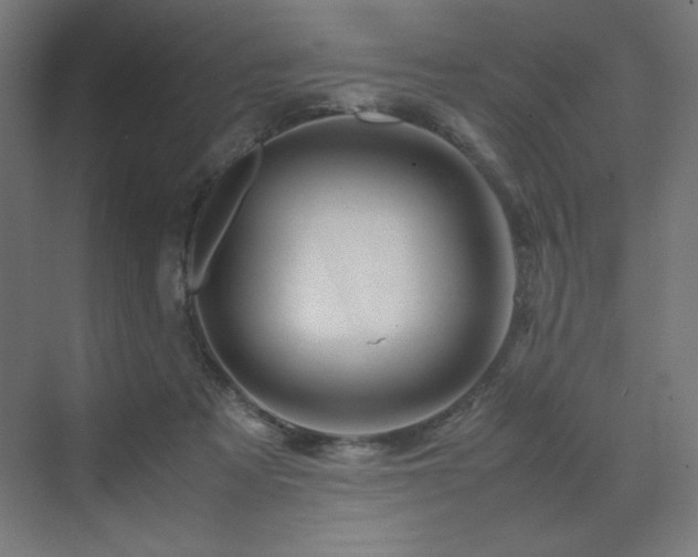 X0000070210313200606021302