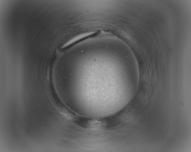 X0000070210315200606021302