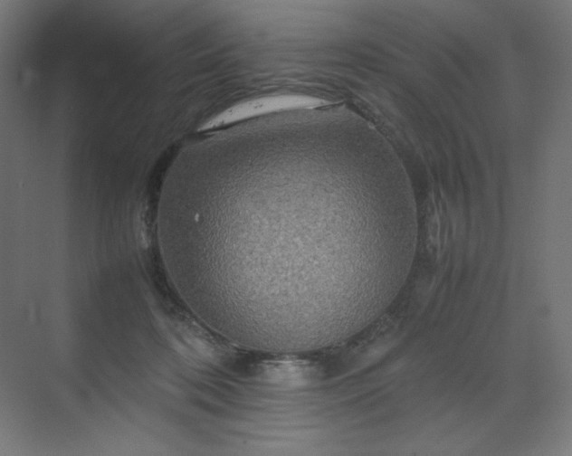 X0000070210316200606021302