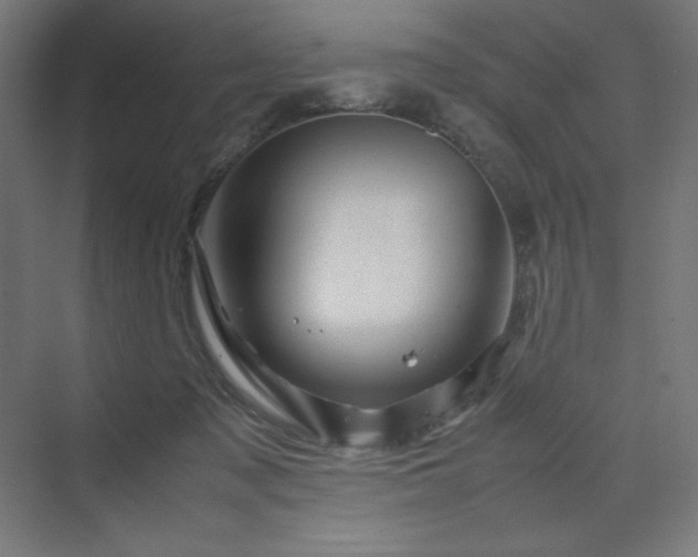 X0000070210317200606021302