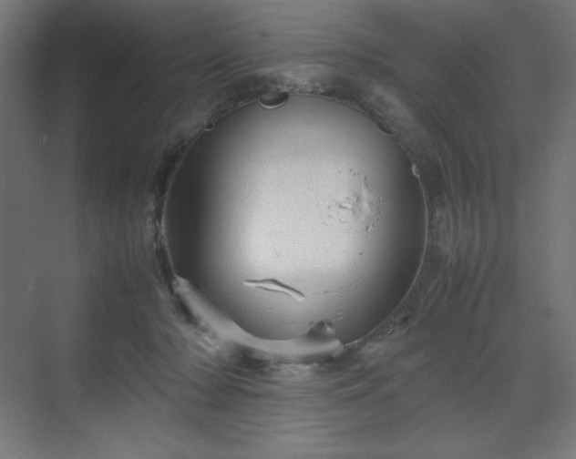 X0000070210318200606021302