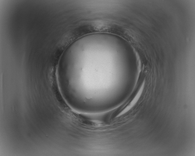 X0000070210319200606021302