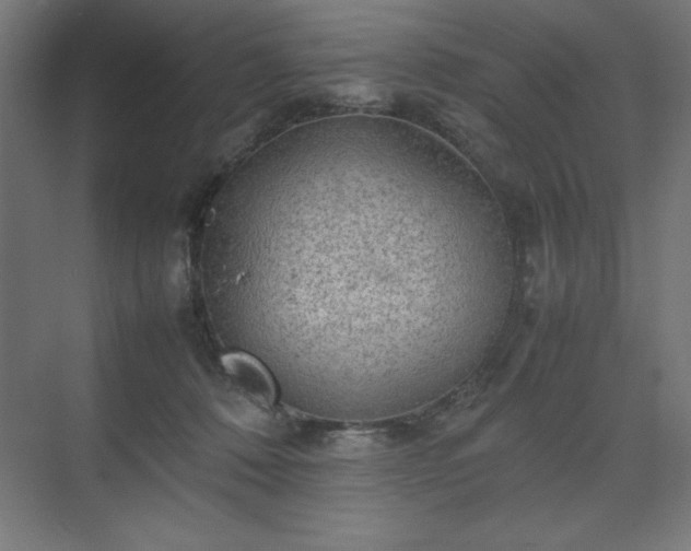 X0000070210320200606021302