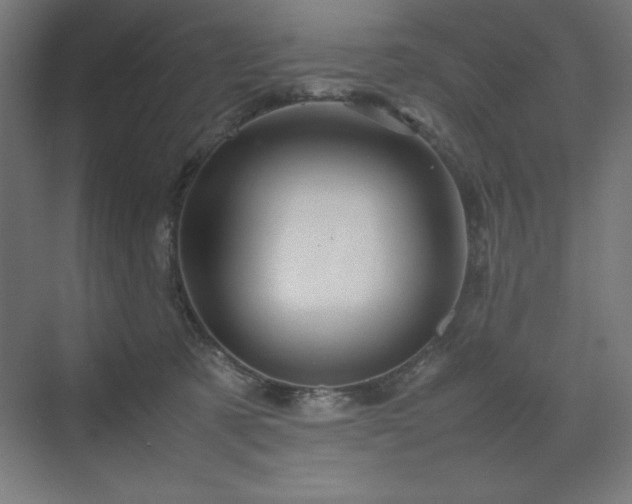 X0000070210321200606021302