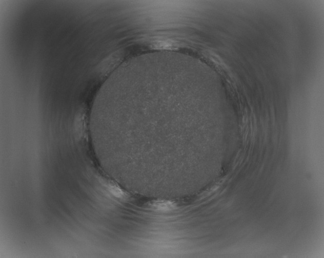 X0000070210322200606021302