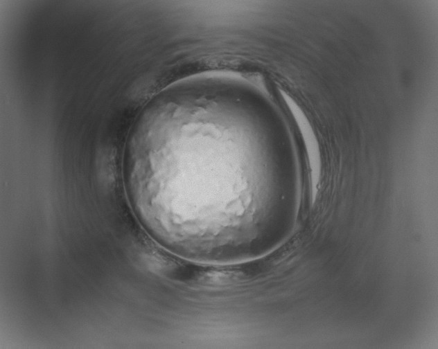 X0000070210323200606021302