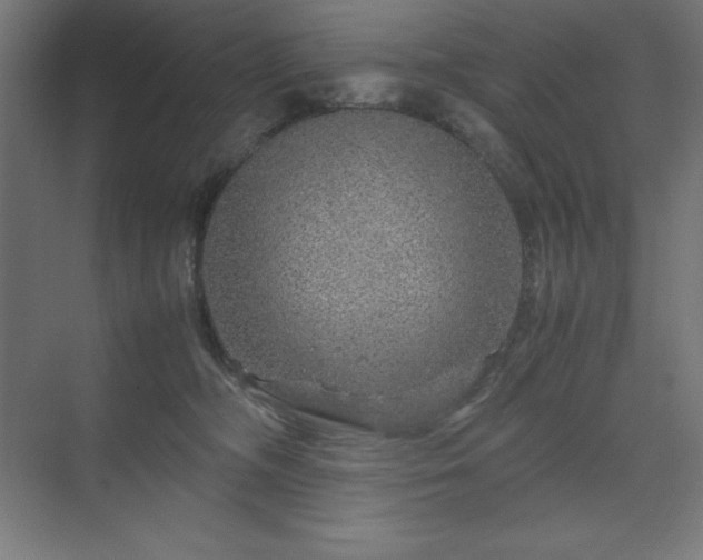 X0000070210326200606021302