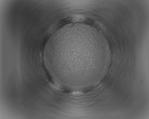 X0000070210327200606021302