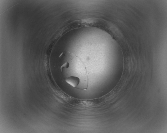 X0000070210328200606021302