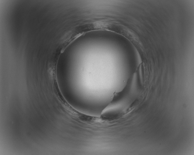 X0000070210329200606021302