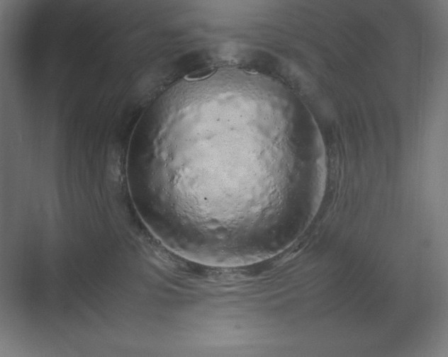 X0000070210331200606021302