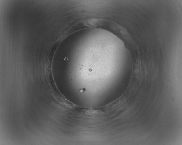 X0000070210332200606021302