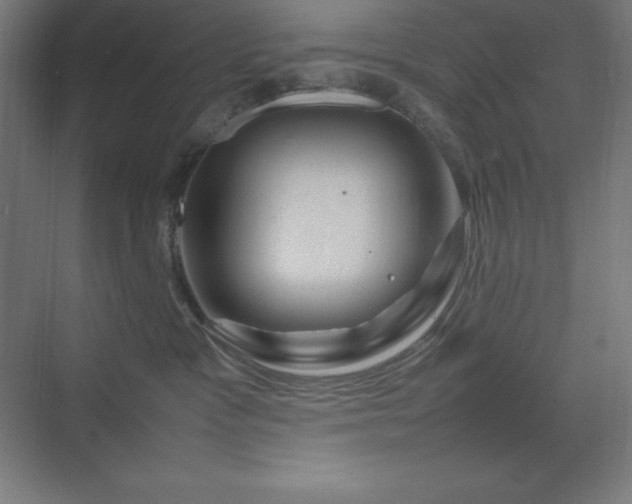 X0000070210333200606021302