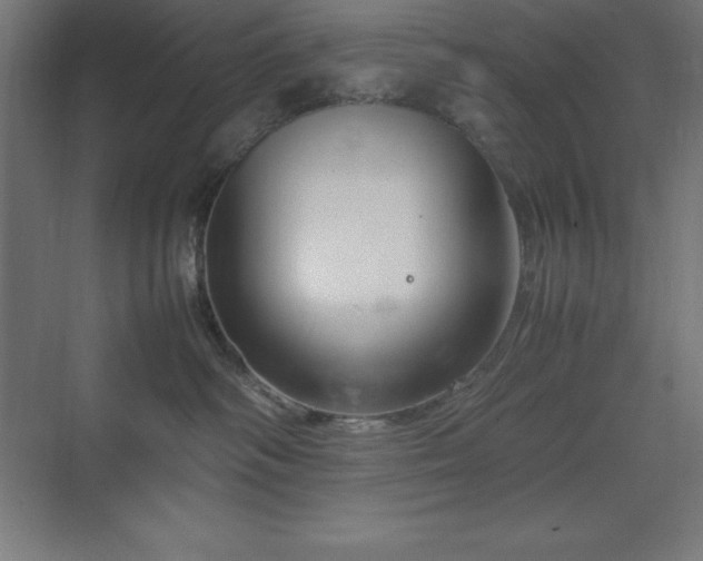 X0000070210334200606021301