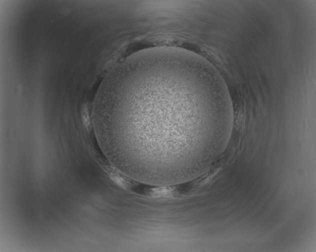 X0000070210335200606021301