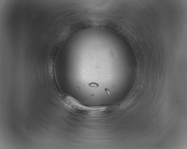 X0000070210336200606021301