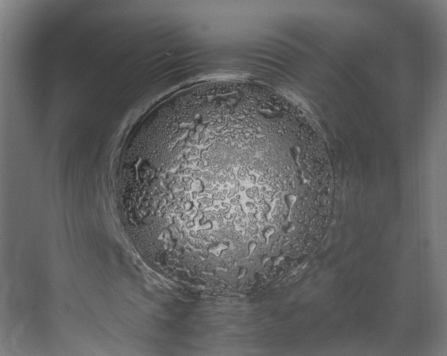 X0000070210337200606021301