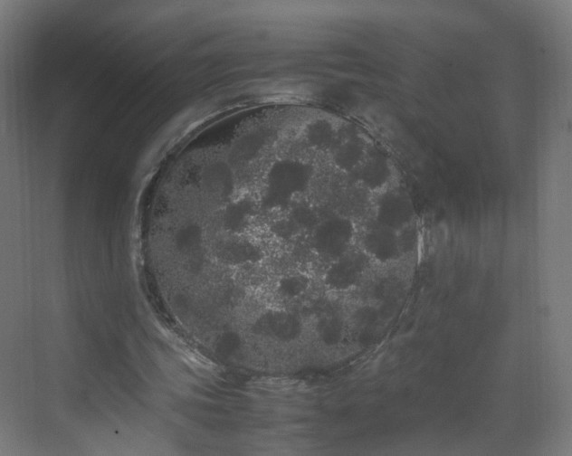 X0000070210339200606021301