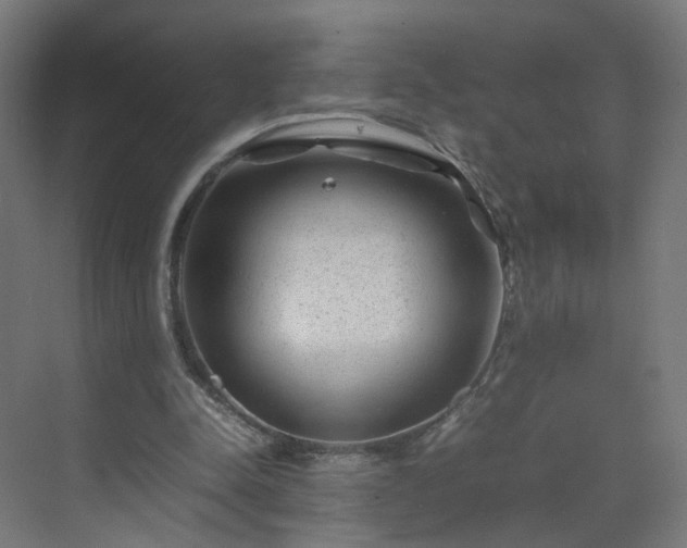 X0000070210342200606021301