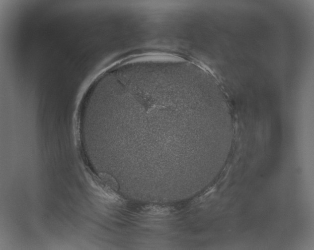 X0000070210343200606021301