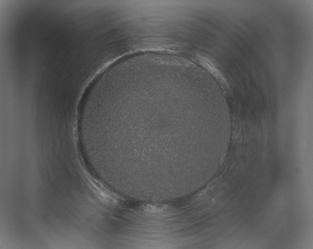 X0000070210346200606021301