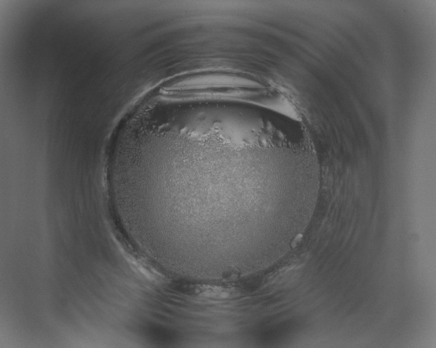 X0000070210347200606021301