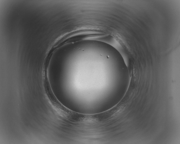 X0000070210348200606021301