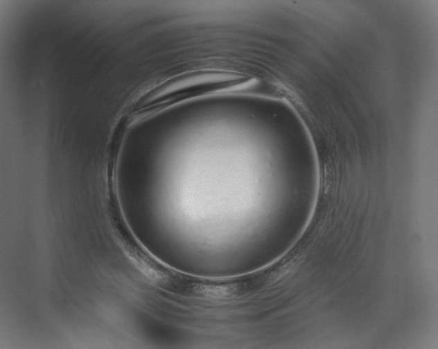 X0000070210349200606021301