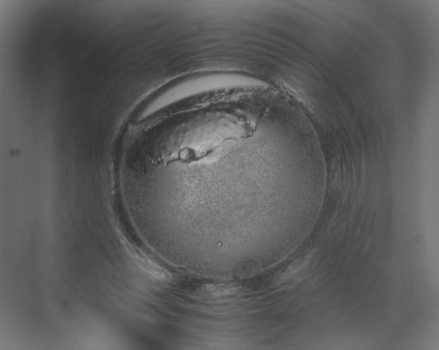 X0000070210351200606021301