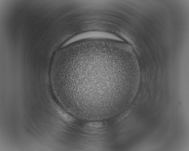 X0000070210353200606021301